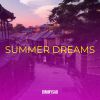 Download track Summer Fun