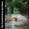 Download track Klavier Und Regen