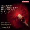 Download track Swan Lake, Op. 20, TH 12, Act I: No. 7, Sujet (Scène)