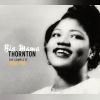 Download track Willie Mae's Blues