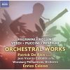 Download track 02. Bassoon Concerto I. Allegro (Live)