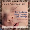 Download track Sleep Angels On The Prarie (10 Minutes Of Relaxing Native Flute & Nature Sounds)