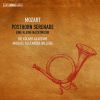 Download track Serenade No. 9 In D Major, K. 320 Posthorn IV. Rondeau. Allegro Ma Non Troppo