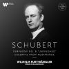 Download track 1. Symphony No. 8 In B Minor, D. 759 -Unfinished-- I. Allegro Moderato
