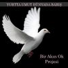 Download track Haktan