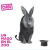 Download track El Boxeador