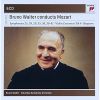 Download track Concerto For Violin And Orchestra No. 4 In D Major, K. 218: II. Andante Cantabile