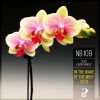 Download track Color Of The Night (Original Mix)