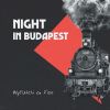 Download track Night In