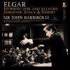 Download track Serenade For Strings In E Minor, Op. 20: II. Larghetto