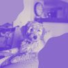 Download track Subtle Separation Anxiety