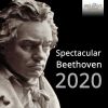 Download track String Quartet No. 8 In E Minor, Op. 59 No. 2: III. Allegretto