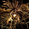 Download track Mind-Dala