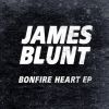 Download track Bonfire Heart