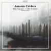 Download track 13. Trio Sonata Op. 1, 10 In F Minor - Allegro