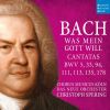 Download track 27. Wo Gott Der Herr Nicht Bei Uns Halt, BWV 178 VII. Die Feind Sind All In Deiner Hand (Choral)