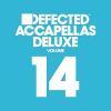 Download track Precious Cargo (Vocal Mix Accapella)