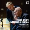 Download track Schubert Der Wanderer An Den Mond, D. 870