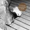 Download track Polyester Skin (Abstraxion Remix)