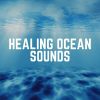 Download track Ocean Defender, Pt. 17