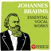 Download track Ein Deutsches Requiem, Op. 45: V. Ihr Habt Nun Traurigkeit