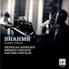 Download track Piano Trio No. 2 In C Major, Op. 87 - II. Andante Con Moto