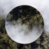 Download track A Delicate Balance