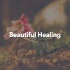 Download track Beautiful Healing, Pt. 9