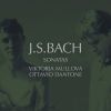 Download track 02. Sonata In B Minor, BWV 1014 · II. Allegro