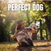 Download track Excited About