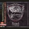 Download track Cold Sweat