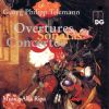 Download track Telemann - Sonate F-Moll TWV. 44: 32 - II. Allegro