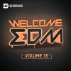 Download track What's Up Miami (Original Mix)