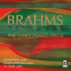 Download track Piano Trio No. 2 In C Major Op. 87 II. Andante Con Moto
