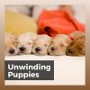 Download track A Relaxing Sound For A Dog