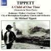 Download track 27. - The Soul Of Man...