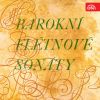 Download track Sonata For Flute And Continuo In D Major: III. Allegro
