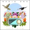 Download track Under A Big Sky