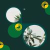 Download track Spectacular Ambiance For Daily Unwinding