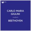 Download track Beethoven: Symphony No. 7 In A Major, Op. 92: II. Allegretto
