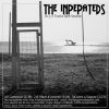 Download track Il Mare D'Inverno
