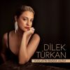 Download track Akşam Güneşi