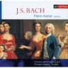 Download track 4. Fantaisie Chromatique Et Fugue En Re Mineur BWV 903 - Fugue