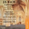 Download track Jesu, Nun Sei Gepreiset In C Major, BWV 41: V. Doch Weil Der Feind Bei Tag Und Nacht