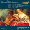 Download track Concerto In E Major For Flute, Oboe D'amore, Viola D'amore & Strings - II. Allegro