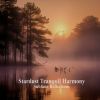 Download track Sunset Harmony