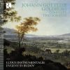 Download track Goldberg Trio Sonata In C Major, DürG 13 II. Alla Breve