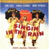 Download track Singin' In The Rain