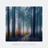 Download track Temperate