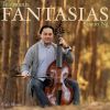 Download track Fantasia No. 11 In D Minor, TWV 40: 36: III. Allegro